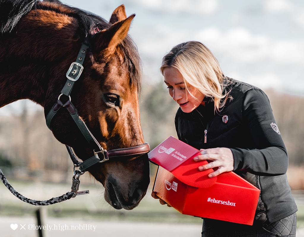 Überraschungsbox für Pferd und Reiter
