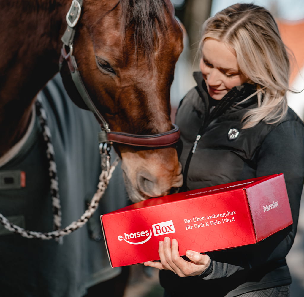 ehorses Box Überraschungsbox für Dich und Dein Pferd